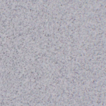 3/8" SQUARE EDGE CORNER GRANITE