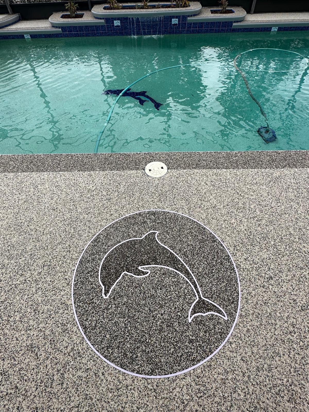Pool Surround