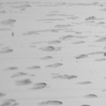 1/2 inch L Channel Satin Silver 10ft